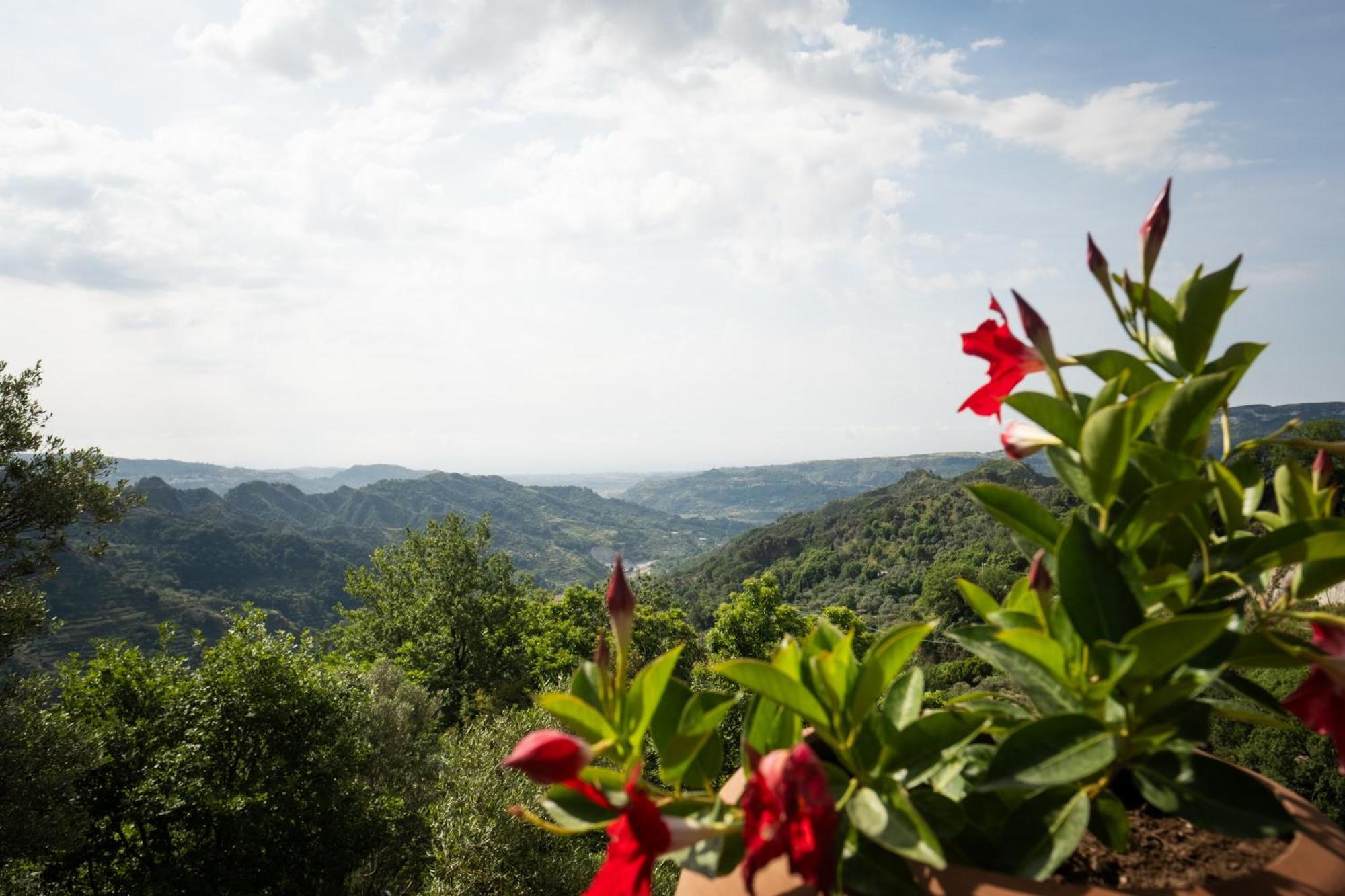 Отель Locanda Degli Ulivi Mammola Экстерьер фото